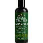 natural shampoo for dry itchy scalps